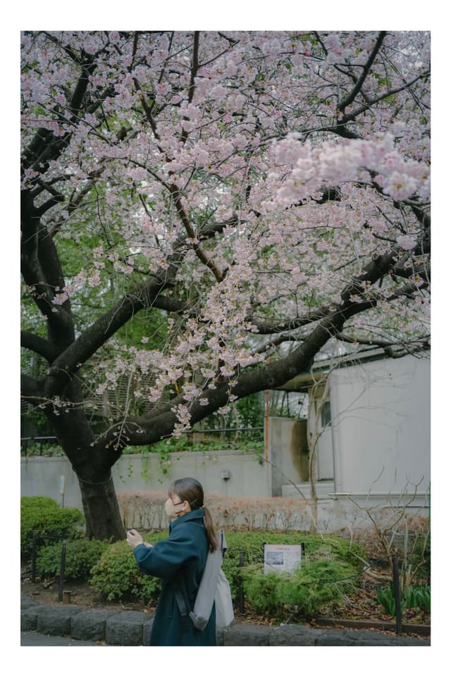 上野公園