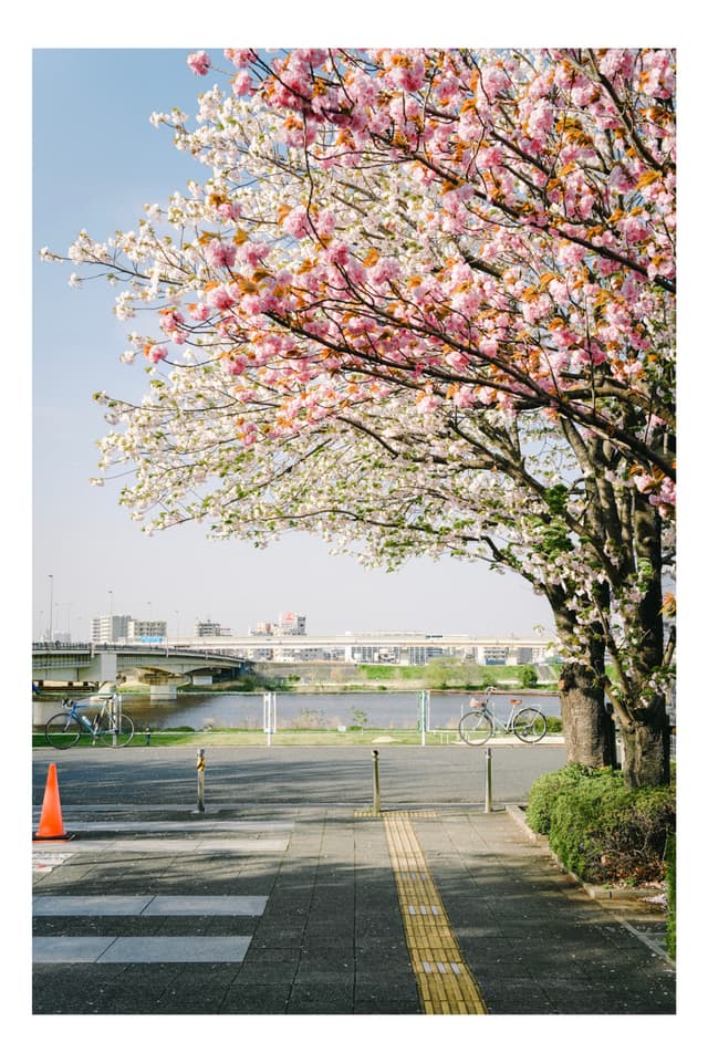 荒川