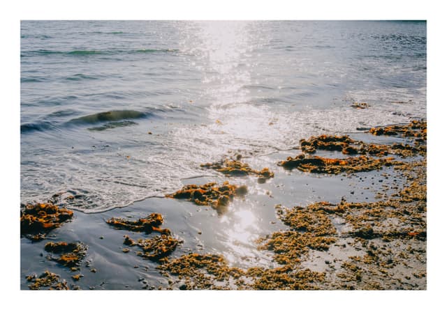 逗子海岸