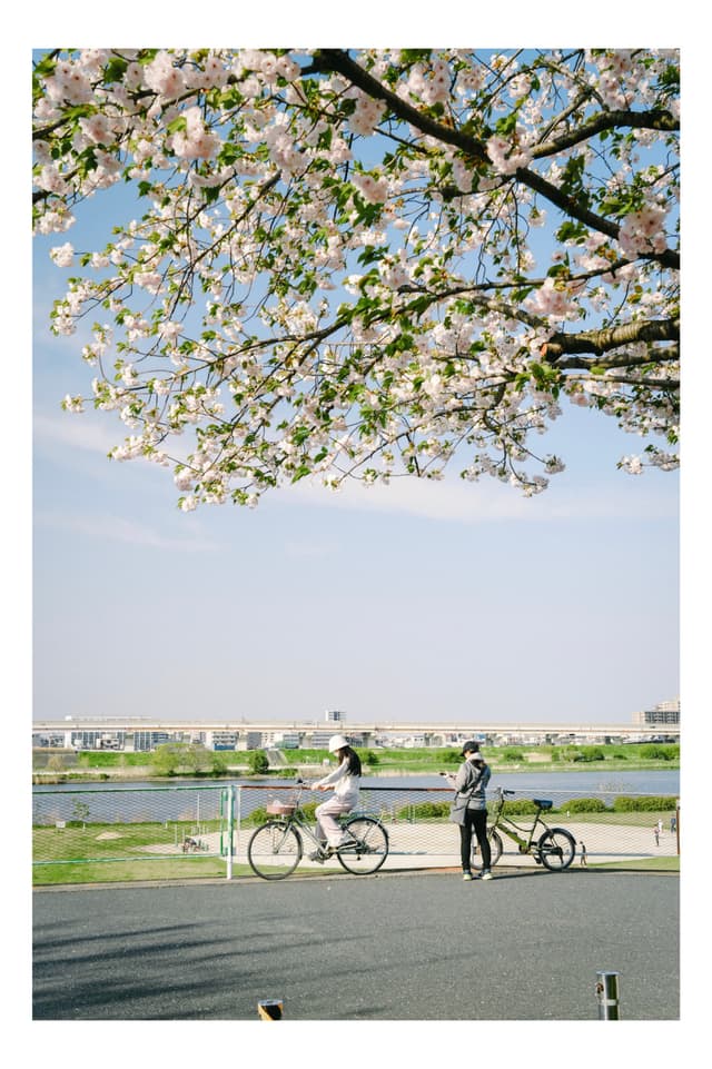 荒川