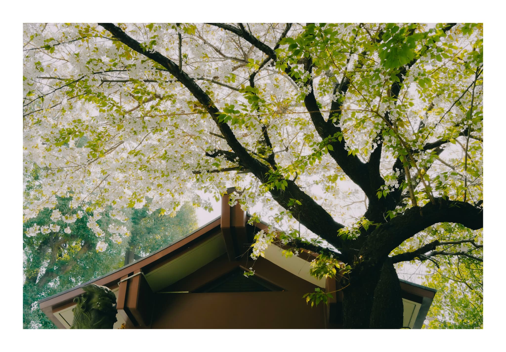 真鶴町·貴船神社