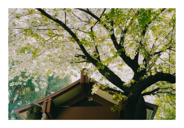 真鶴町·貴船神社
