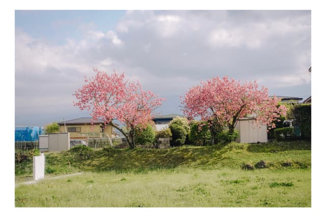 富士吉田