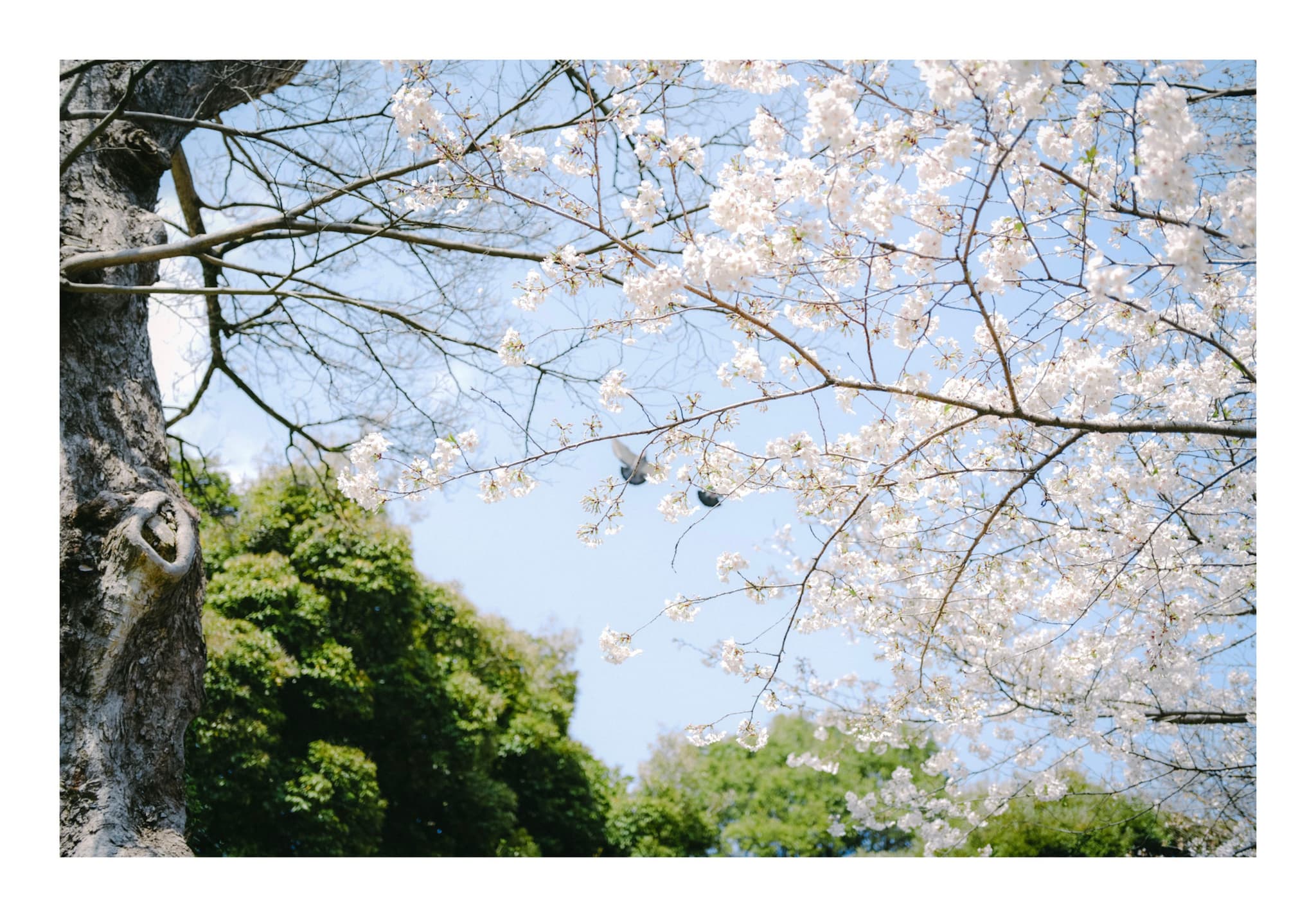 東京都庭園美術館