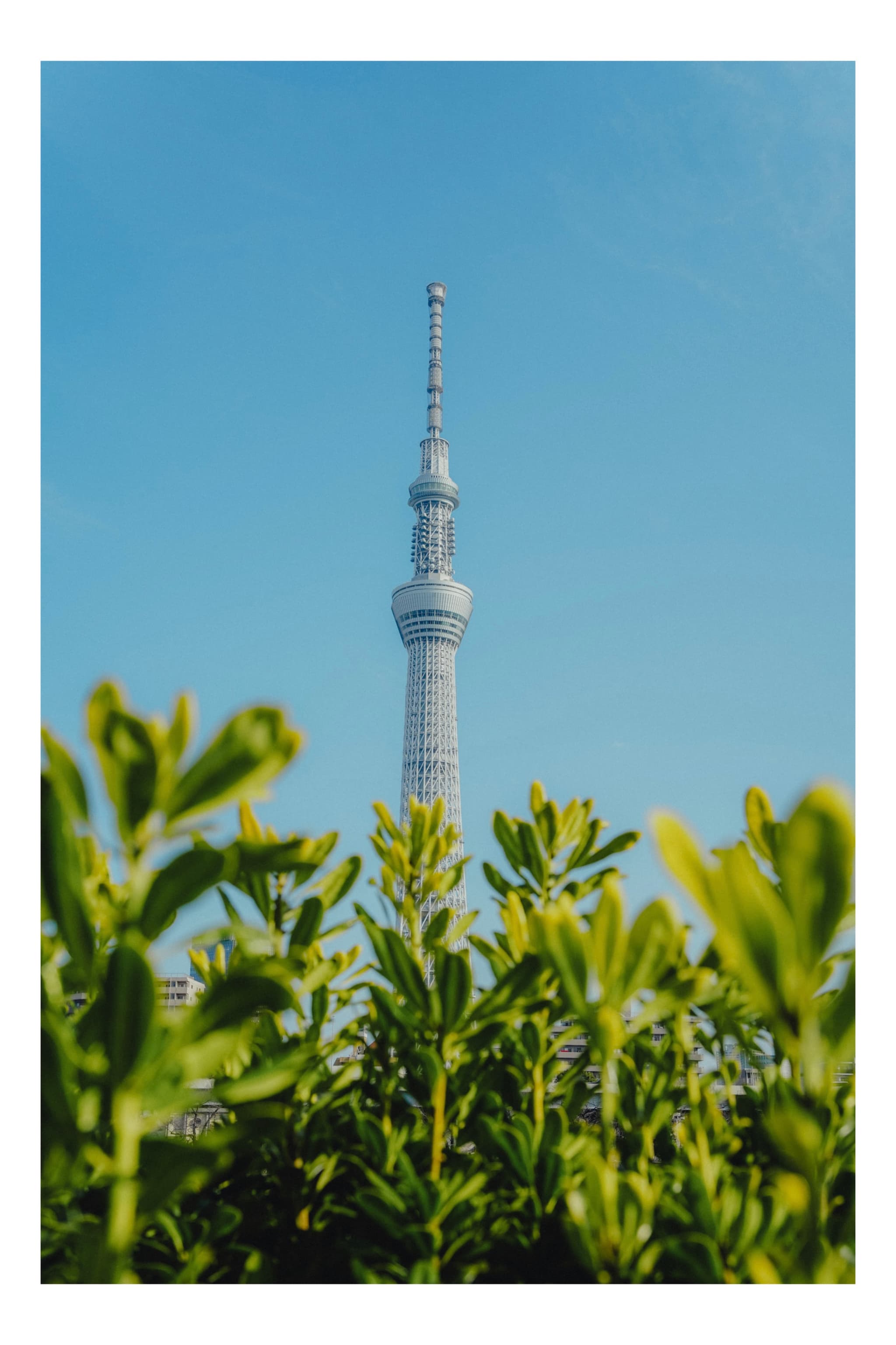 隅田川