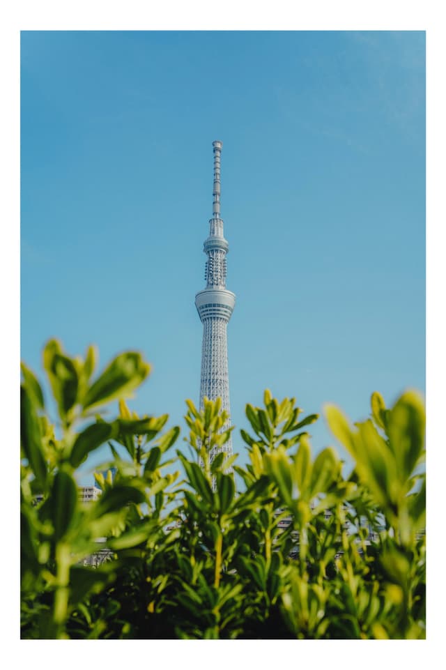 隅田川