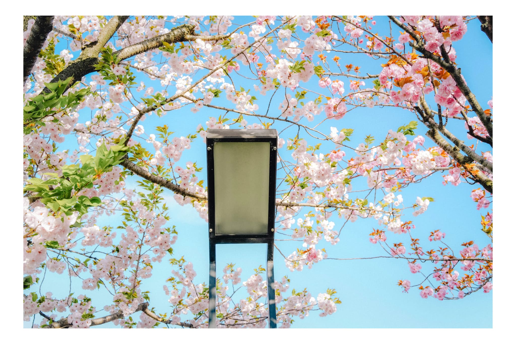 荒川