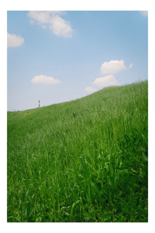 荒川