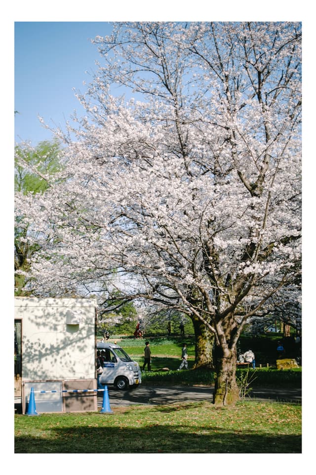 昭和記念公園