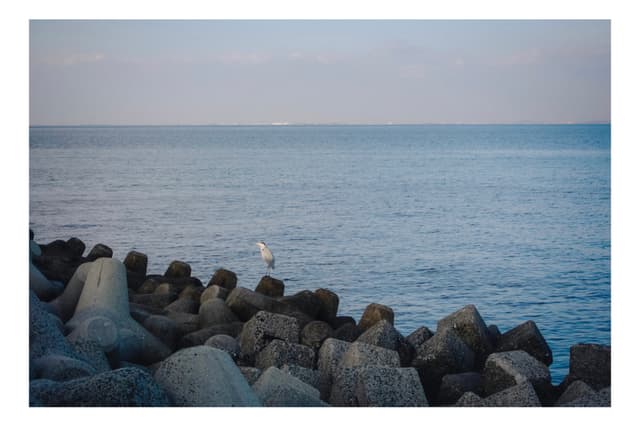 日間賀島