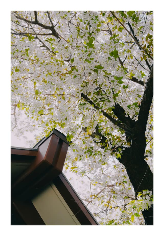 真鶴町·貴船神社
