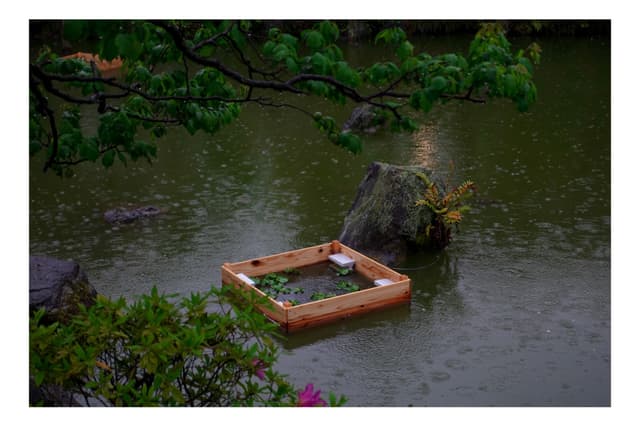 亀戸天神社