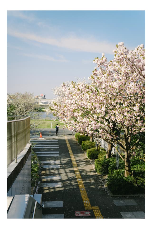 荒川
