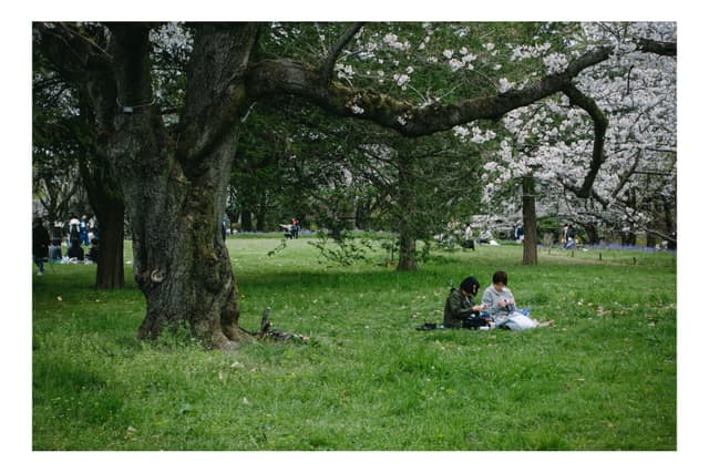 昭和記念公園